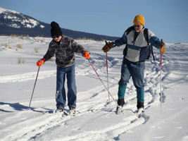 J2F Guest Ranch - Out by the Fence in Winter Time