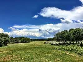 J2F Guest Ranch - Field by the Lodge