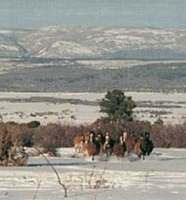 J2F Guest Ranch - Horses Running in Snow