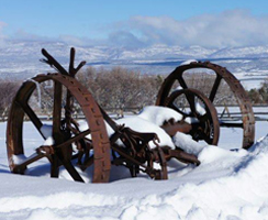 J2F Guest Ranch - Out by the Fence in Winter Time